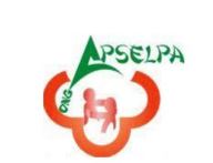 apselpachat